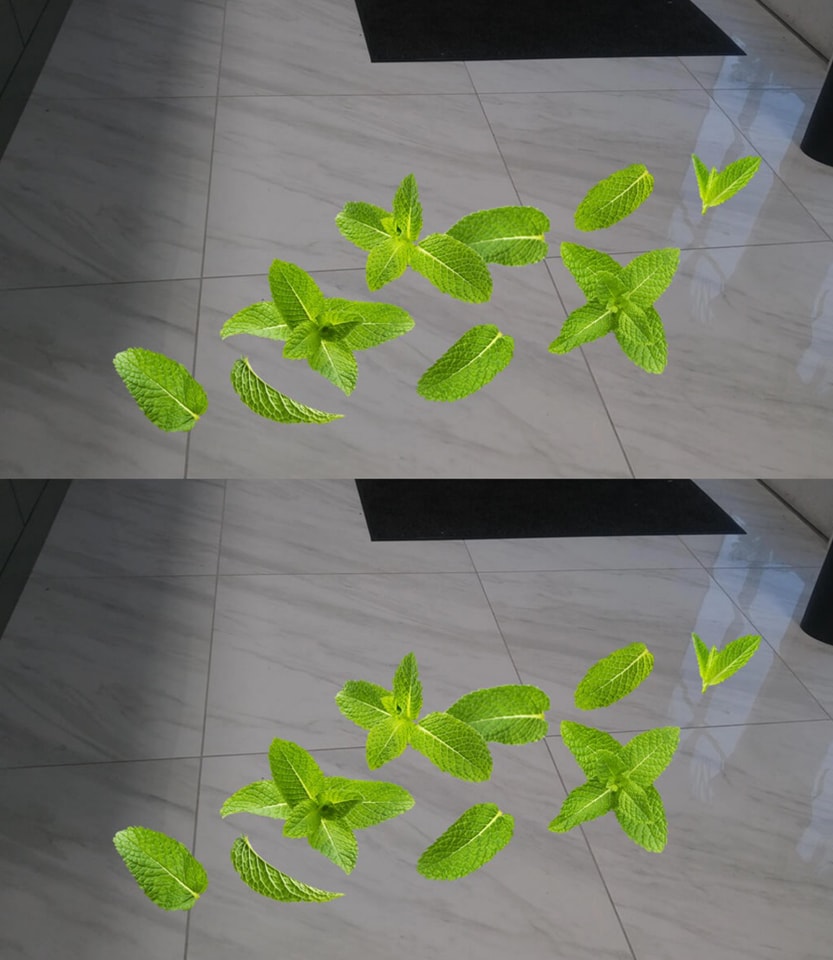 427438254 122124985256192707 6832502388253533290 N