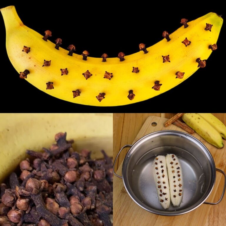 461778370 459057970502148 2349239646206429750 N 768x768