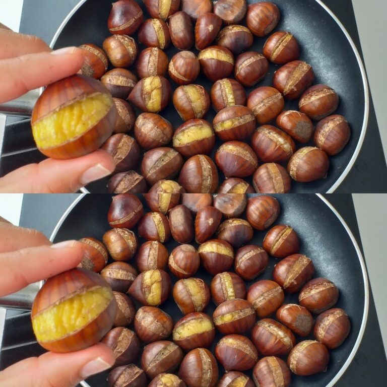 462089366 122177479616217733 8949507605868315756 N 768x768