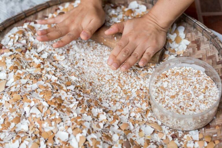 Crushing Dried Eggshells By Hand Hero 1 1024x683 1 768x512