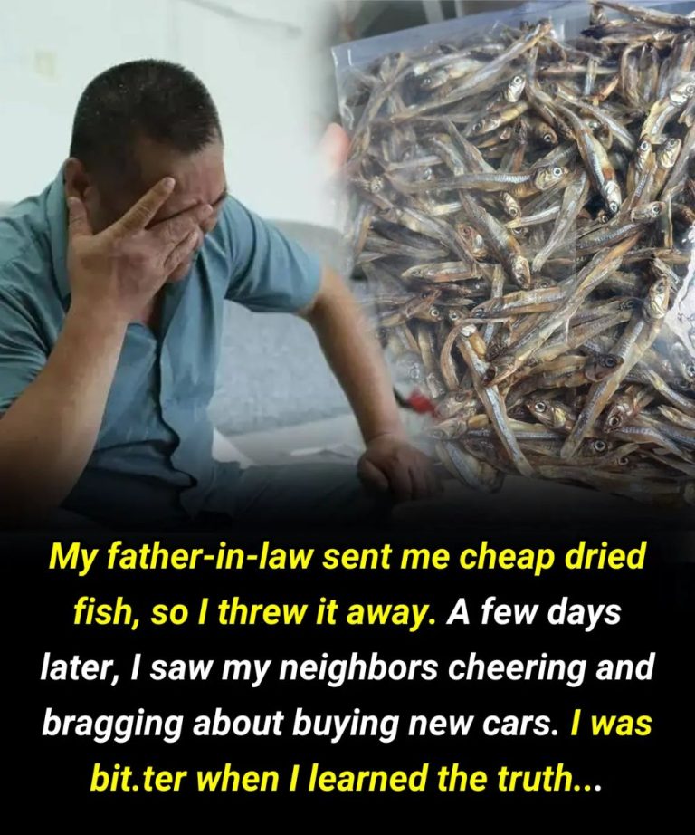 Screenshot 2024 08 02 23 02 13 803 Com.miui .notes Edit 27 1 1 1 1 1 1 1 1 1 1 1 1 1 2 1 1 1 1 1 1 1 1 1 1 1 2 1 1 2 1 1 1 1 1 1 2 1 1 3 1 768x768