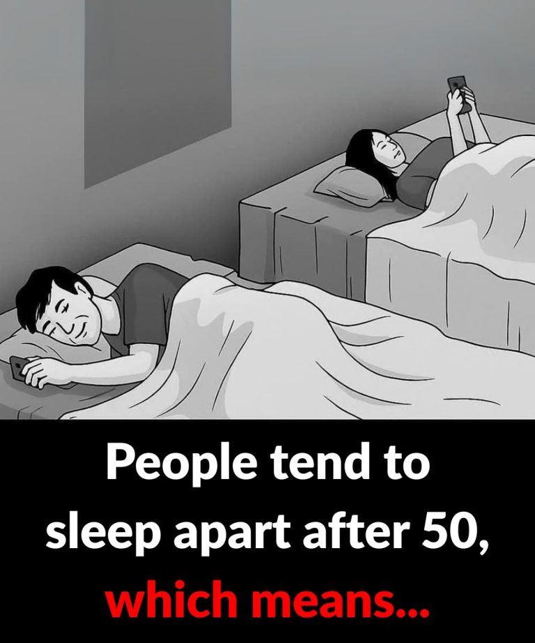 Screenshot 2024 08 02 23 02 13 803 Com.miui .notes Edit 27 1 1 1 1 1 1 1 1 1 1 1 1 1 2 1 1 1 1 1 1 1 1 1 1 1 2 1 1 2 1 1 1 1 1 1 2 1 1 3 1 768x768