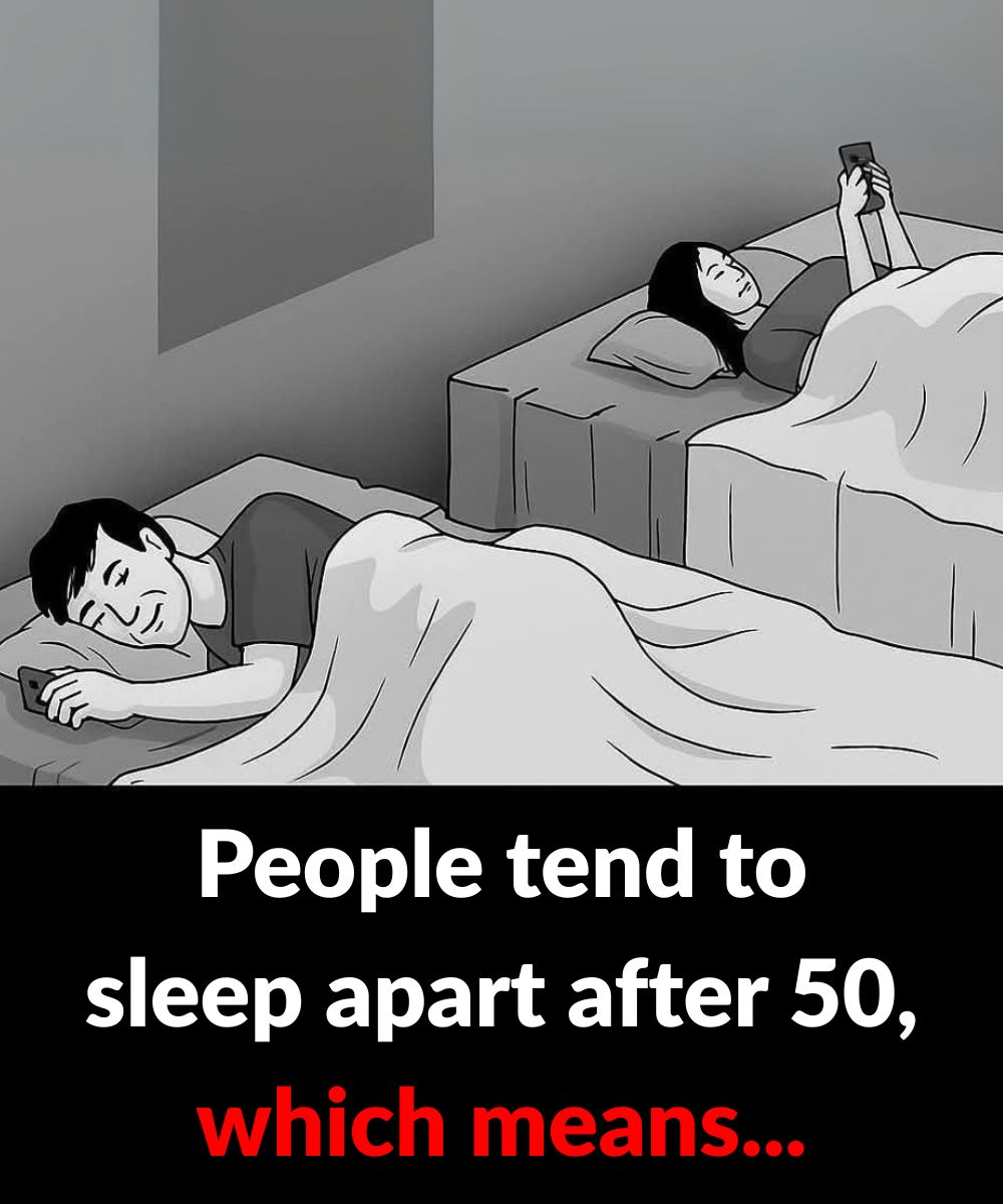 Screenshot 2024 08 02 23 02 13 803 Com.miui .notes Edit 27 1 1 1 1 1 1 1 1 1 1 1 1 1 2 1 1 1 1 1 1 1 1 1 1 1 2 1 1 2 1 1 1 1 1 1 2 1 1 3 1 768x768