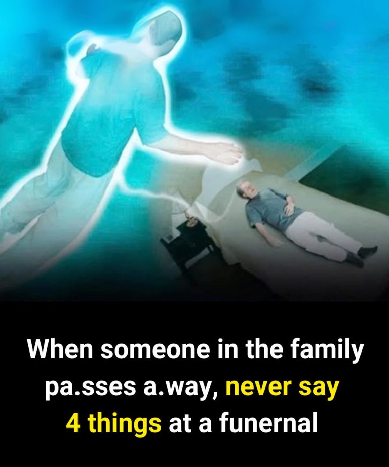 439074276 122139288098153142 8624862246451084270 N