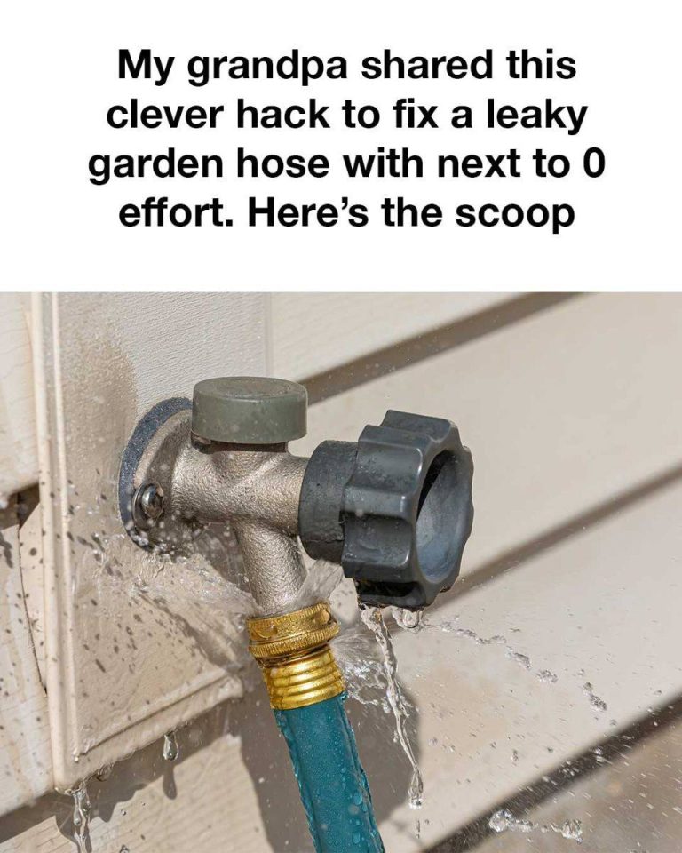 518289245 1297844715067558 2074574632282386233 N