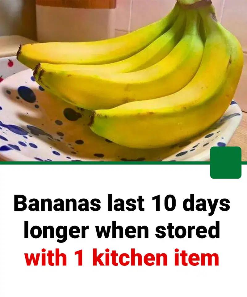 518289245 1297844715067558 2074574632282386233 N 50