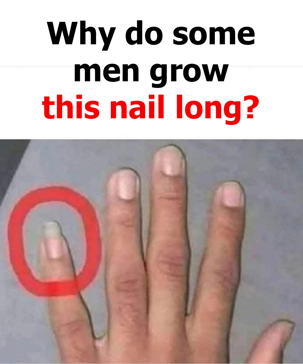 518289245 1297844715067558 2074574632282386233 N 50 6 768x922