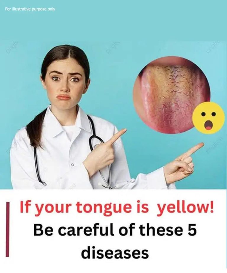 518289245 1297844715067558 2074574632282386233 N 50 6 768x922