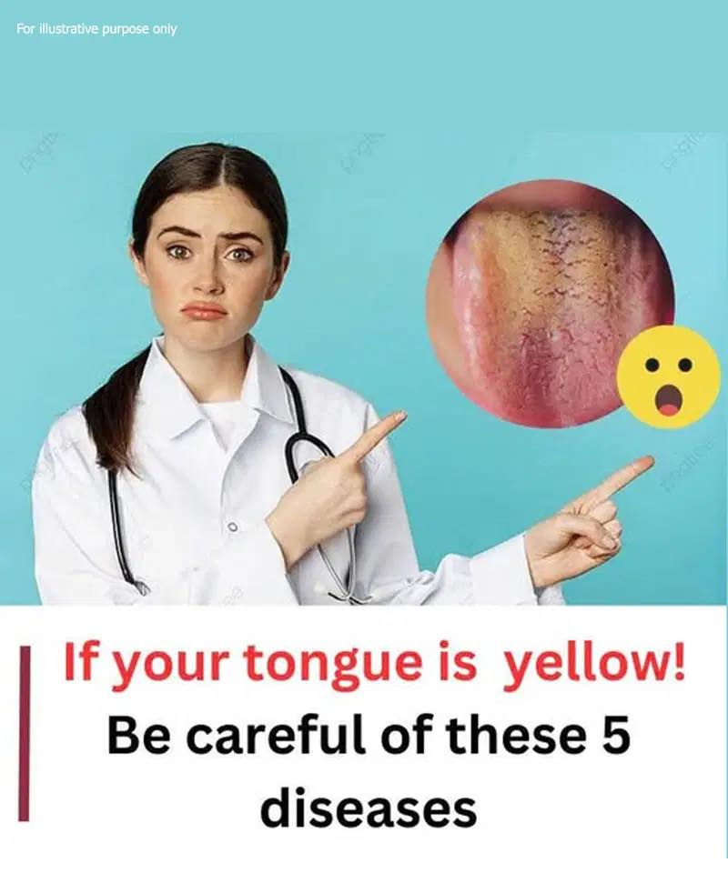 518289245 1297844715067558 2074574632282386233 N 50 6 768x922