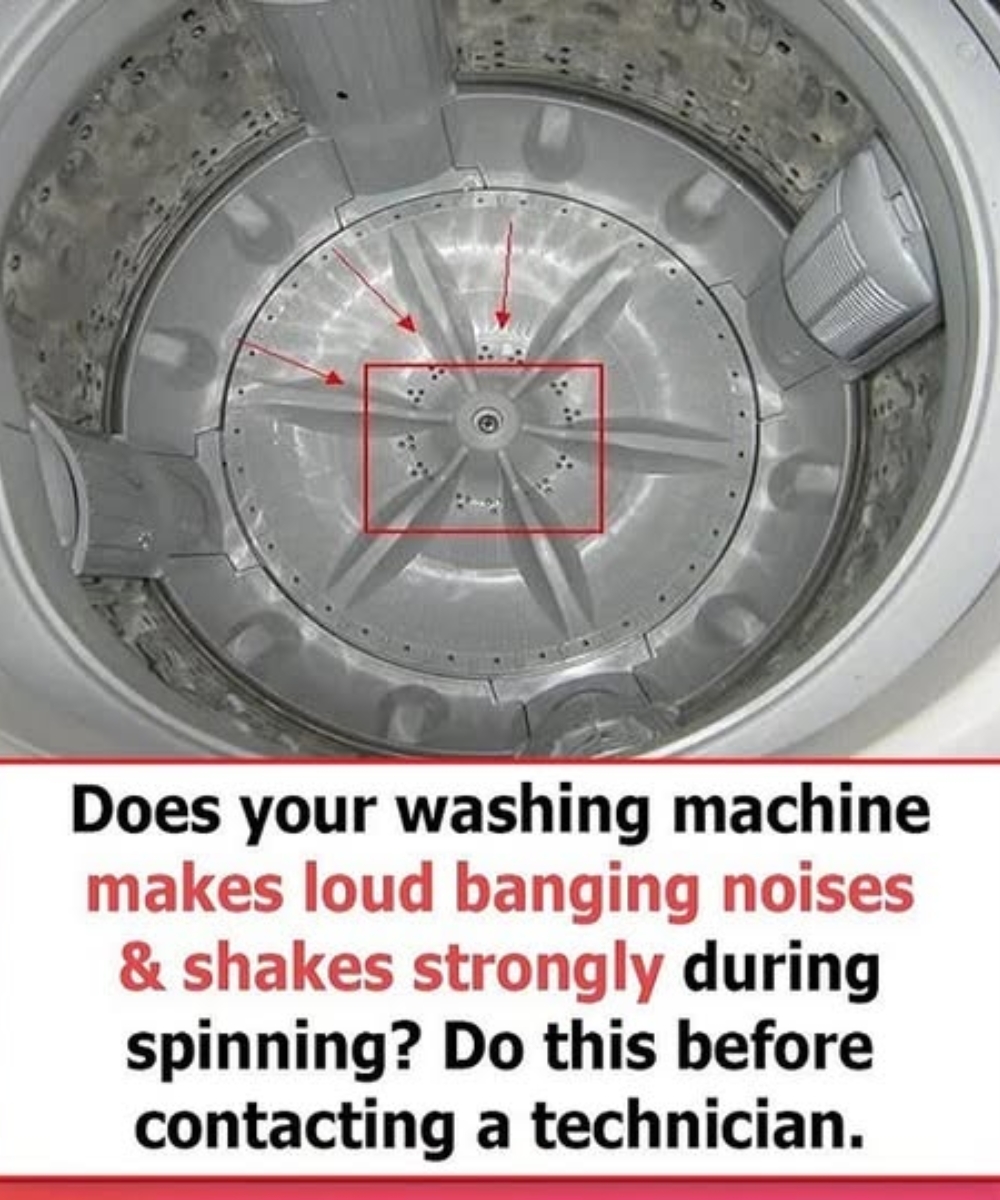 518289245 1297844715067558 2074574632282386233 N 50 6 768x922