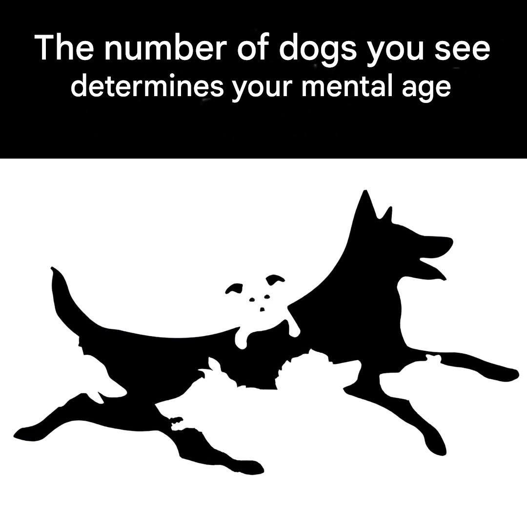 518289245 1297844715067558 2074574632282386233 N 50 6 768x922 61 768x922