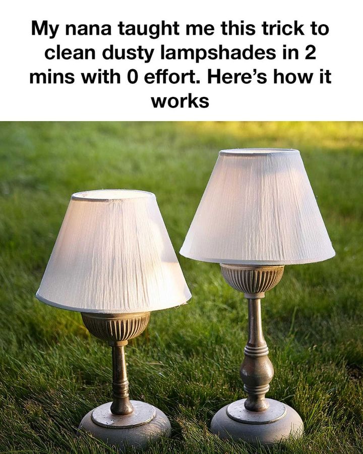 470662793 122202937016217299 1847034534772923553 N