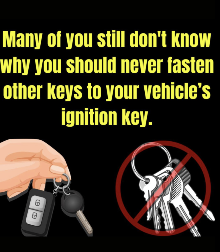 Capture D’écran 2025 09 13 162831