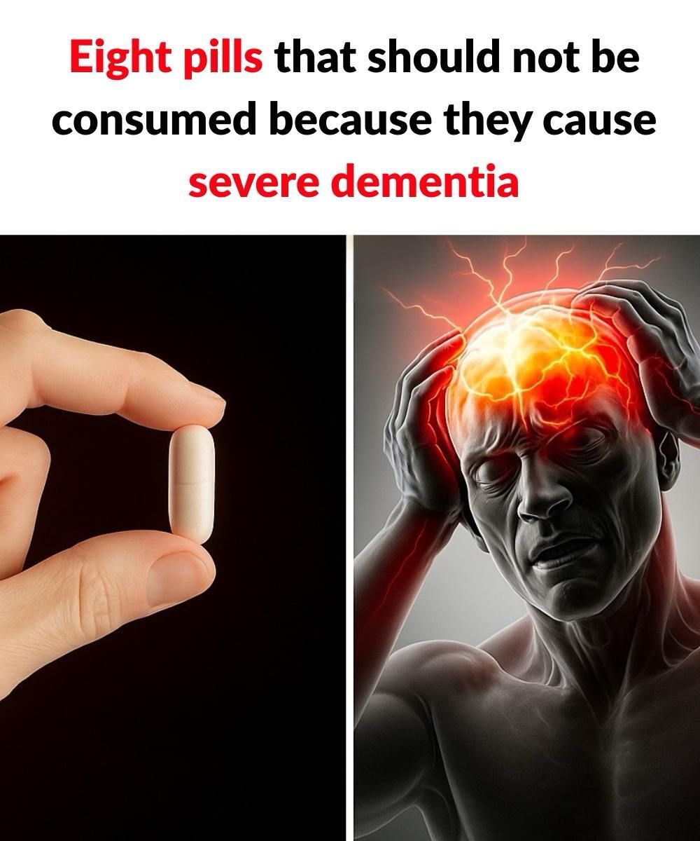 558536077 122095609707058315 8242043888599135463 N